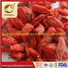 Best Quality Ningxia Organnic Lower Pesticide Good Fragrance Dried Goji Berry